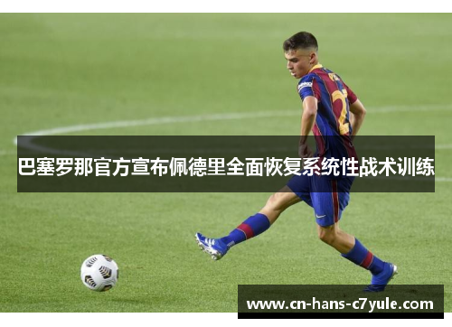 巴塞罗那官方宣布佩德里全面恢复系统性战术训练