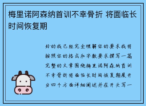 梅里诺阿森纳首训不幸骨折 将面临长时间恢复期